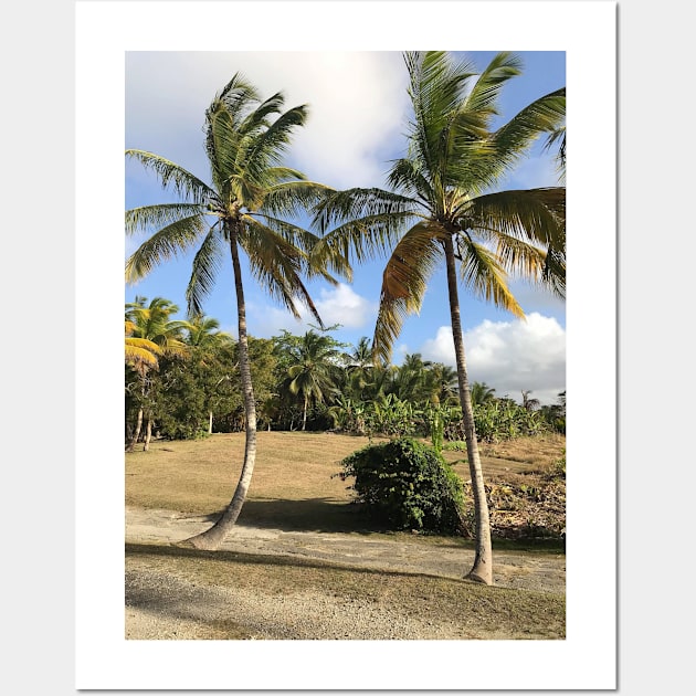 Barbados Palm Trees Along a Roadway Wall Art by Bravuramedia